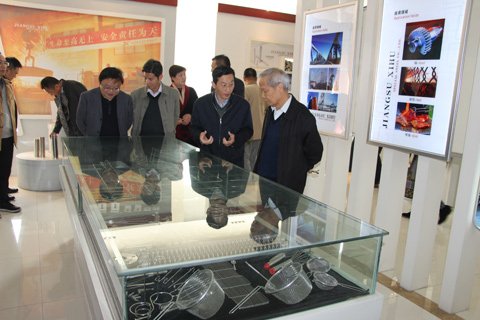 中國工程院院士王一德一行蒞臨我公司參觀指導(dǎo)工作